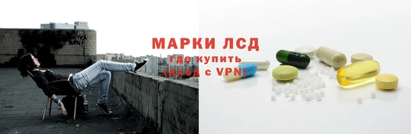 эйфоретик Аркадак