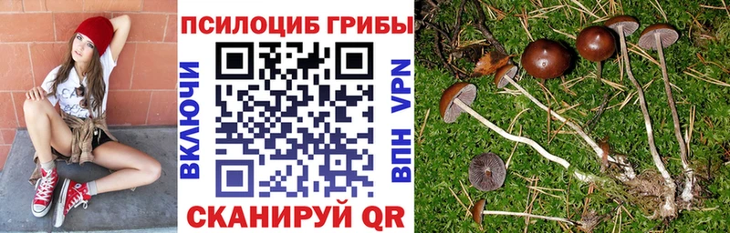 Купить  Севск  Галлюциногенные грибы Magic Shrooms 
